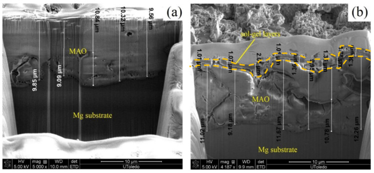 Figure 24