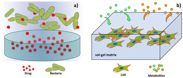 Figure 16