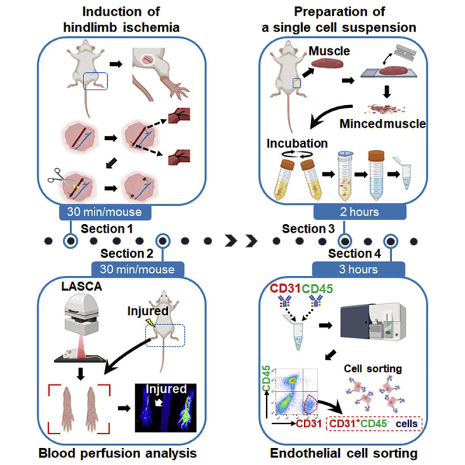 graphic file with name fx1.jpg