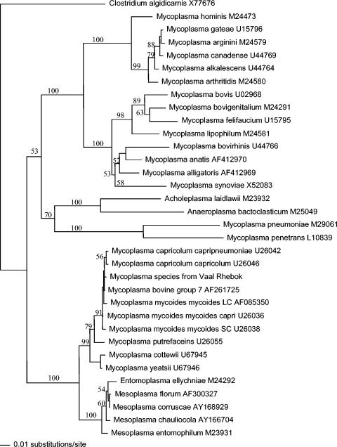 FIG. 2.