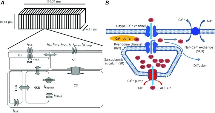 Figure 9