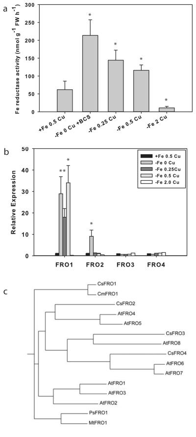 Fig. 5