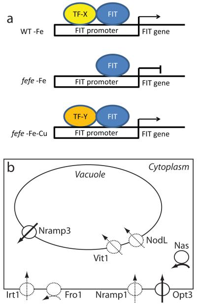 Fig. 10