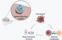 Image, graphical abstract