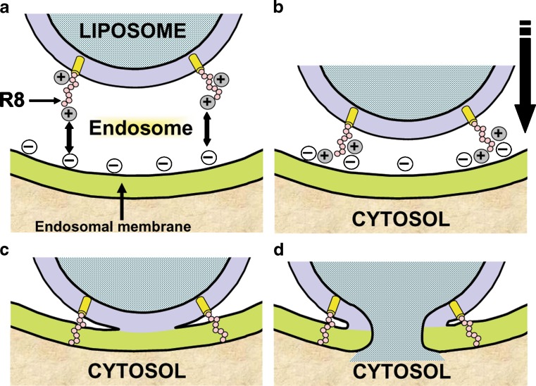 Fig. 2