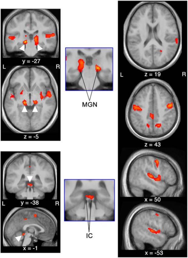 Figure 7.