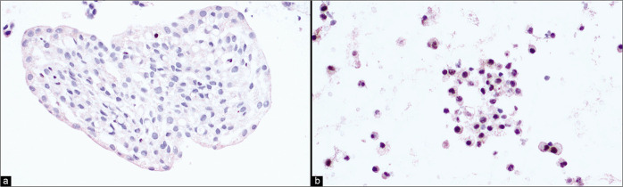 Figure 15: