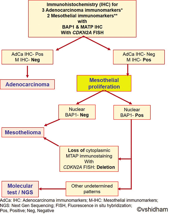 Figure 14: