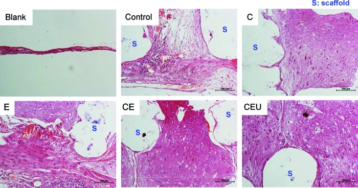 FIG. 7.