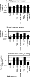 FIG 4