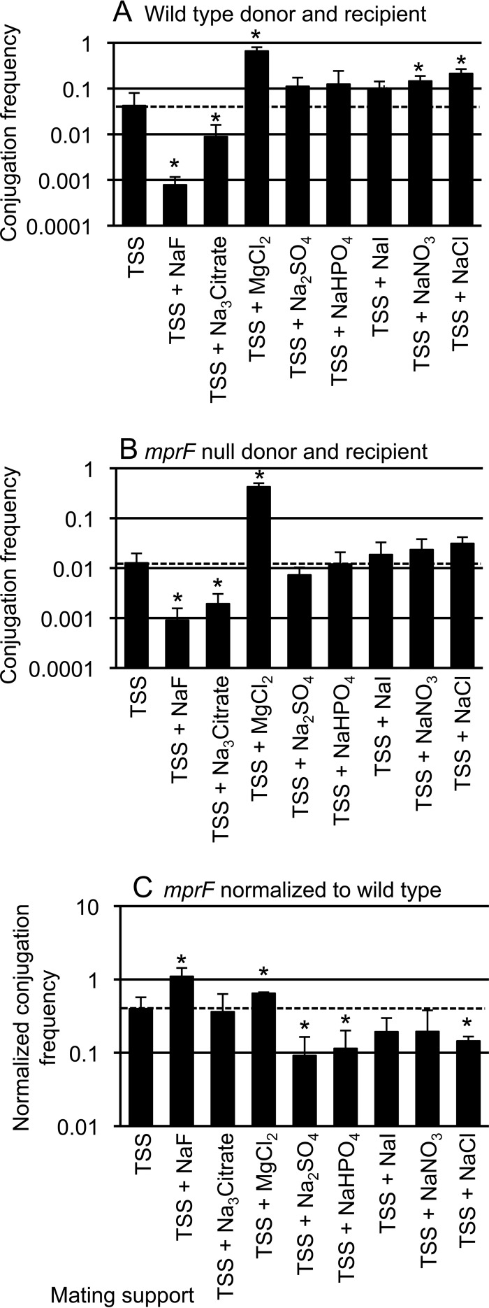 FIG 5