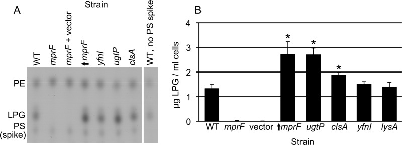 FIG 3