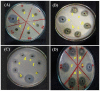 Figure 15