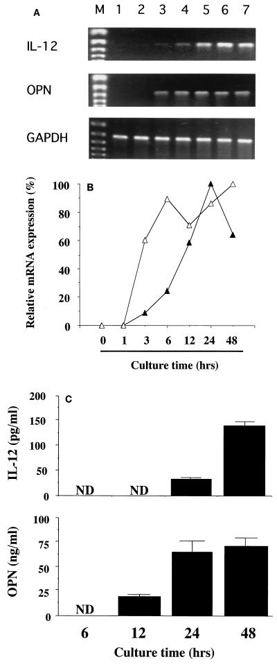 FIG. 1.