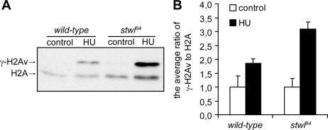 Figure 10.