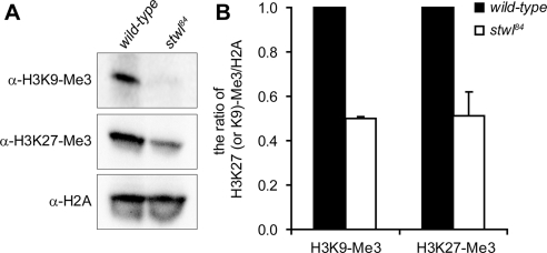 Figure 9.