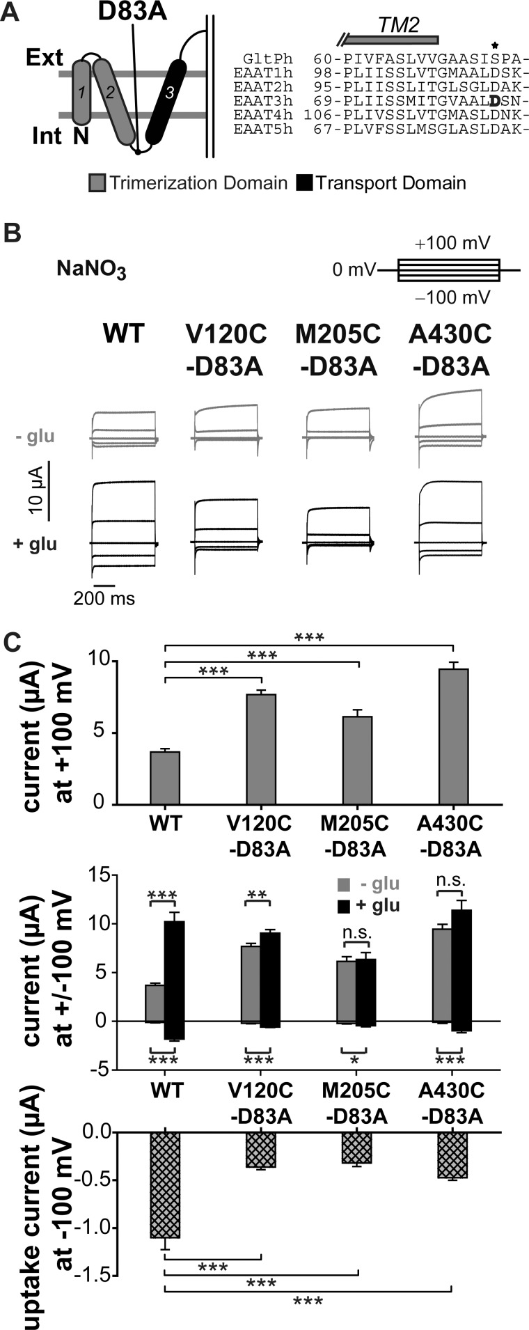 FIGURE 4.