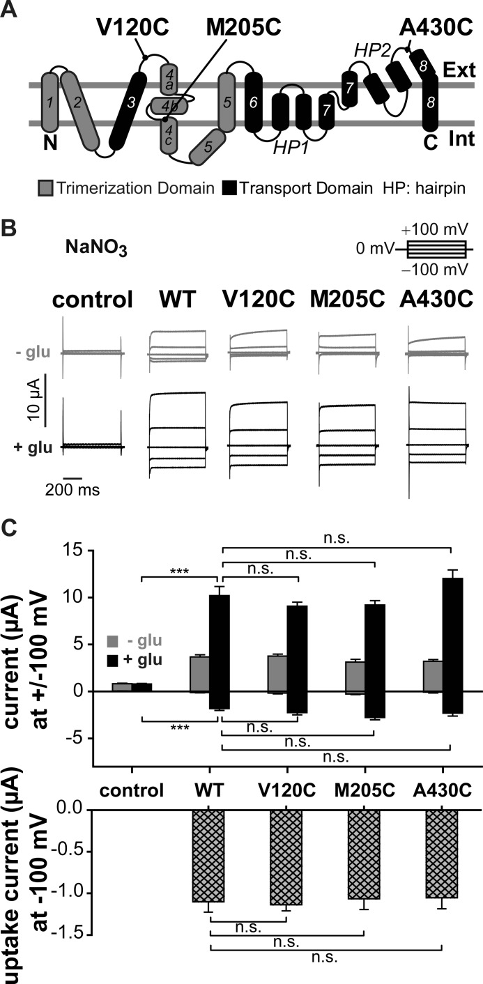 FIGURE 1.