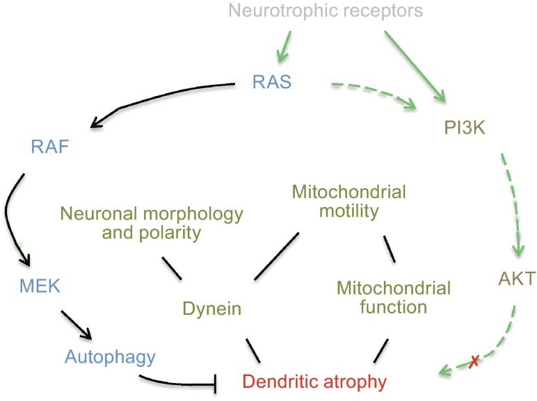 Figure 6