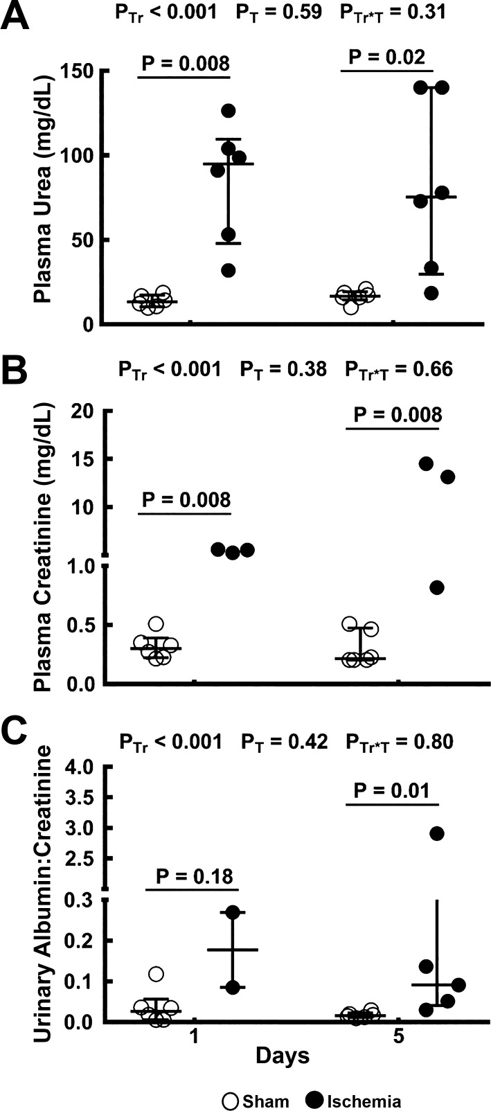 Fig. 8.