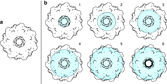 Fig. 4