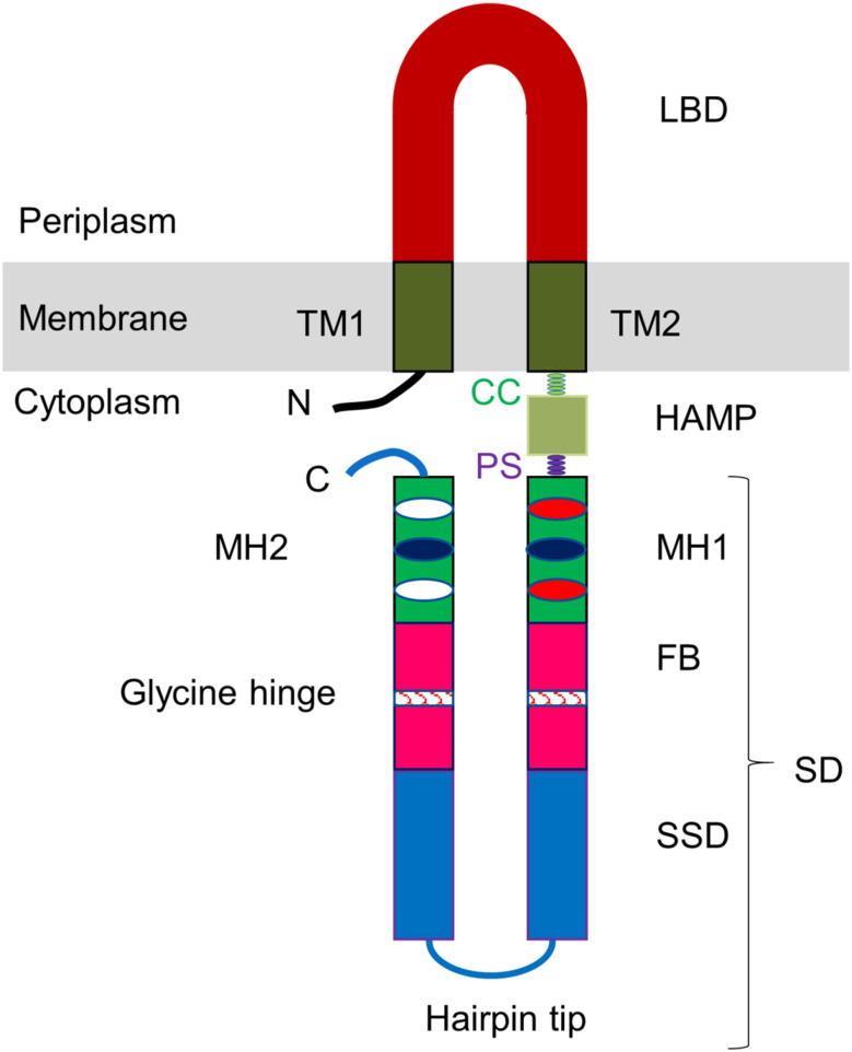 Fig. 1