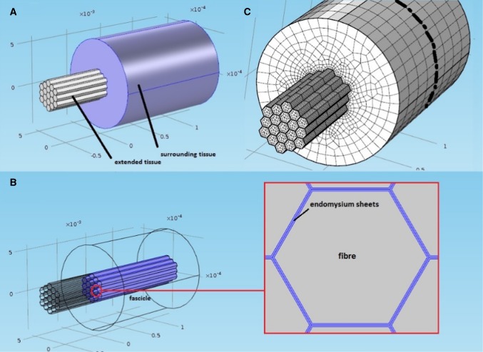 Fig. 1