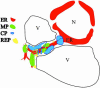 Fig. 7.
