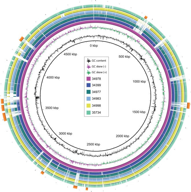 FIG 1 