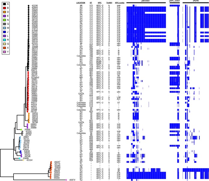 FIG 6 