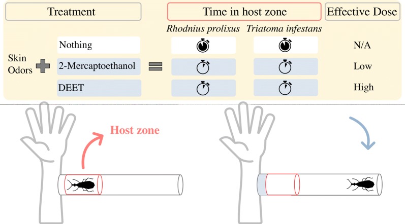 graphic file with name 13071_2020_4013_Figa_HTML.jpg