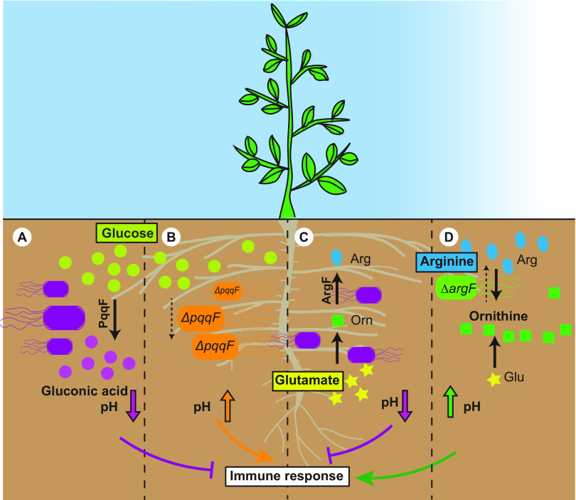 FIG 6