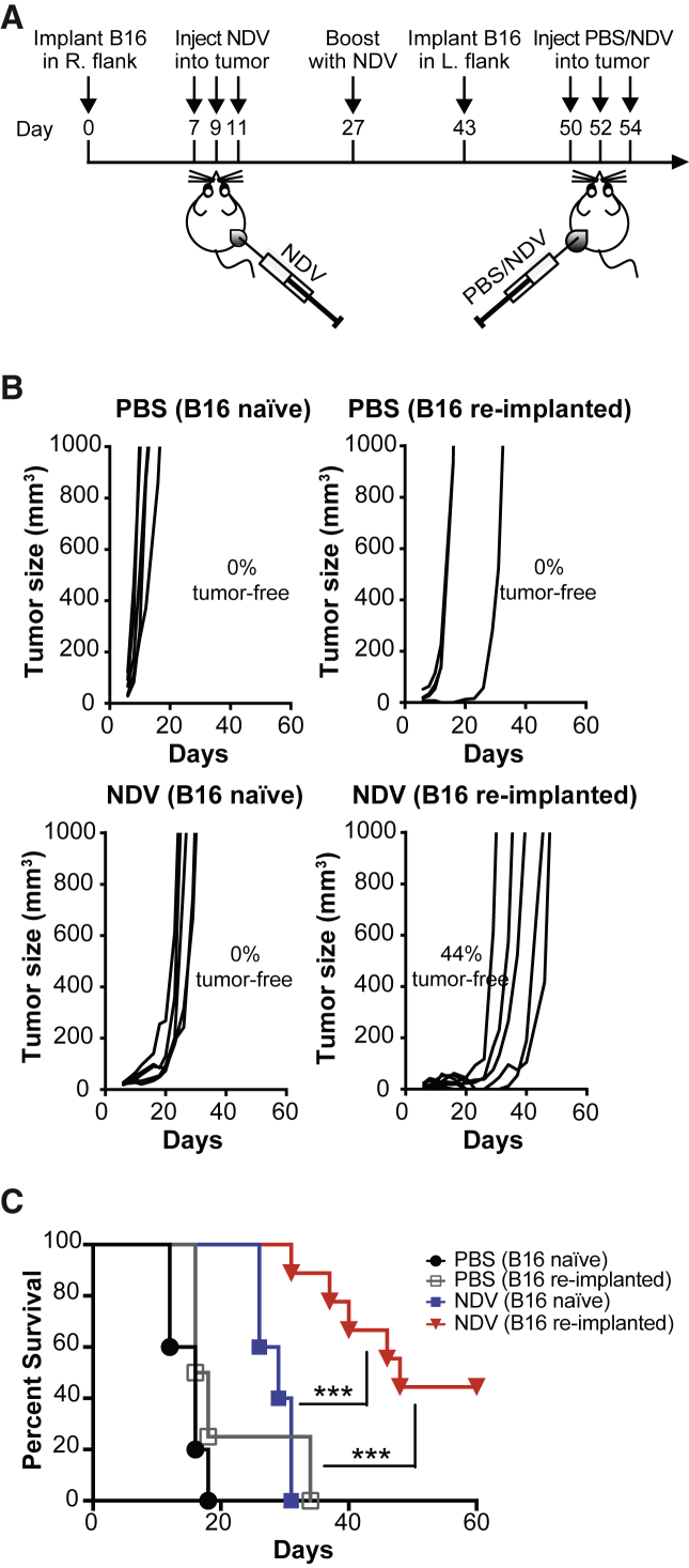 Figure 5