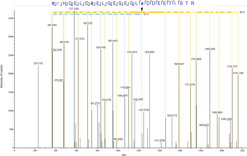 FIGURE 3