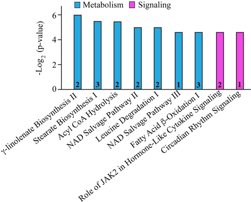 FIGURE 2