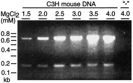 FIG. 5.