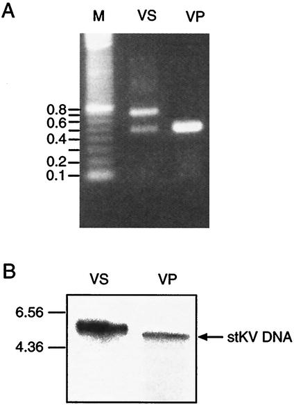 FIG. 1.