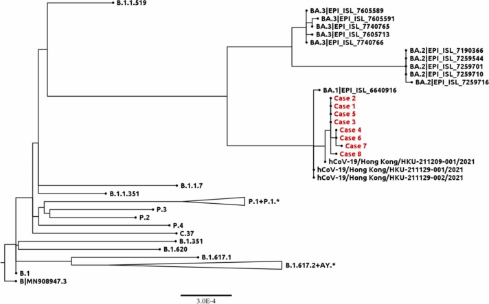 Fig. 6