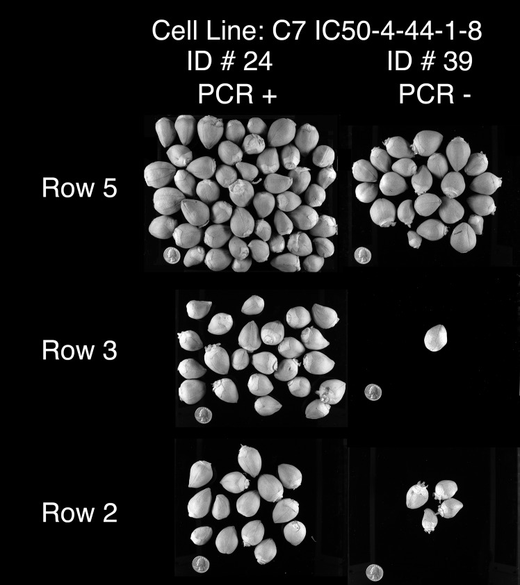 Fig 11