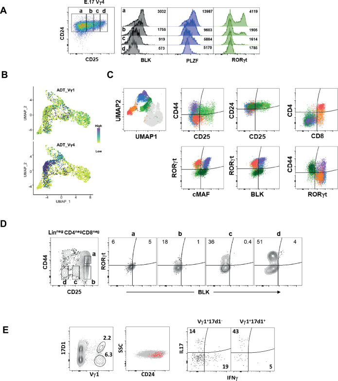 Figure 1—figure supplement 3.