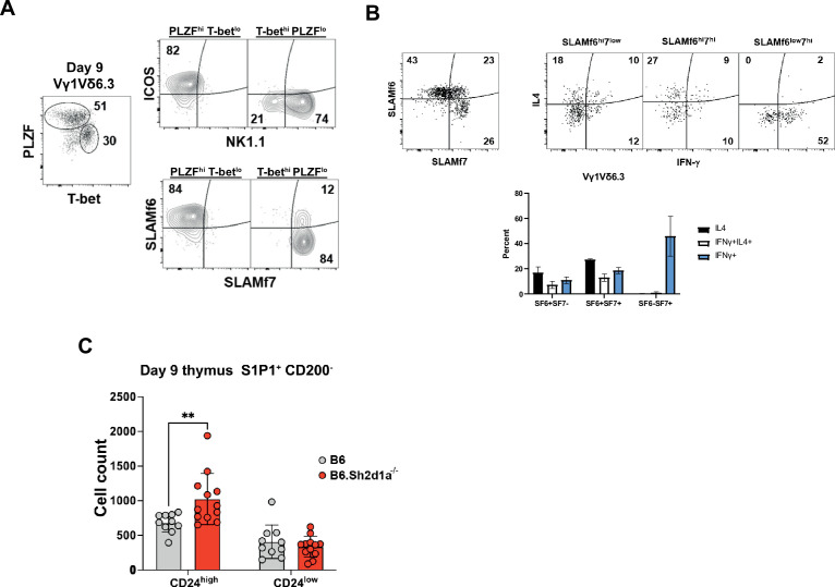 Figure 4—figure supplement 2.