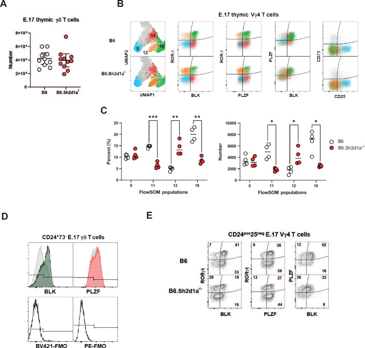 Figure 3—figure supplement 1.