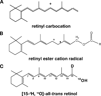 FIGURE 1.