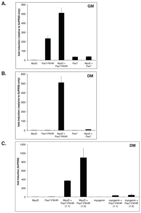 FIGURE 2