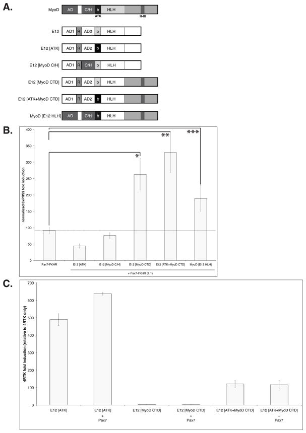 FIGURE 3