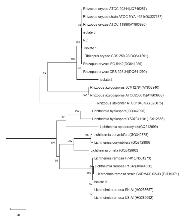 Figure 2