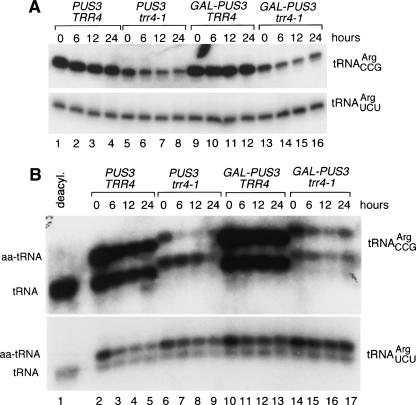 FIGURE 4.