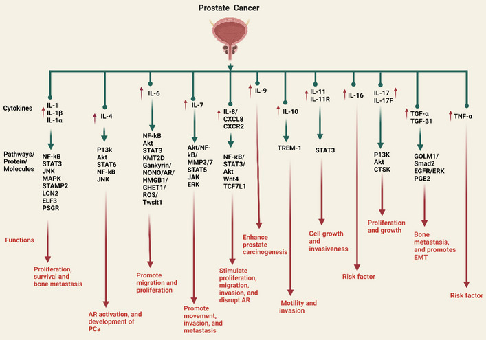 Fig. 3