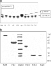 FIG. 2.