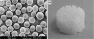 Fig. 12